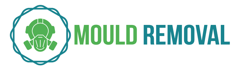 Shower Mould Removal